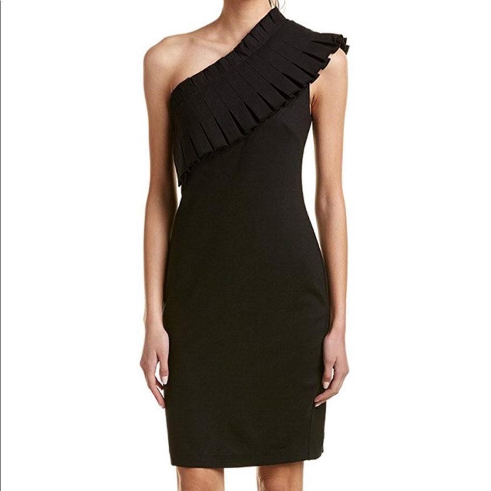 NWT Ted Baker Dress
